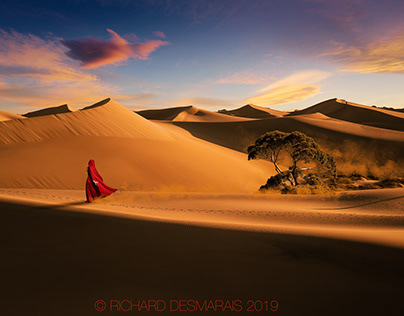 Handmaid Desert #3