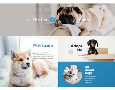 Pet Shop Web Design Inspiration