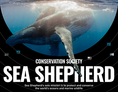 Sea Shepherd / Corporate website