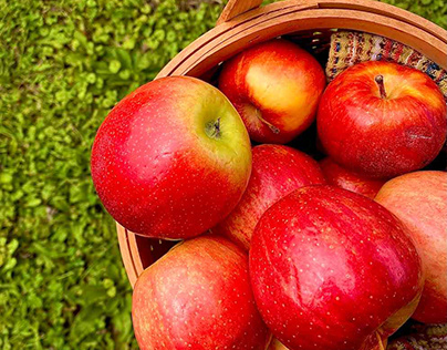 Is Apple Farming Hard?