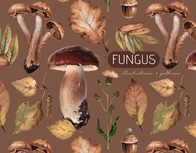 Watercolor illustrations of mushrooms and leaves