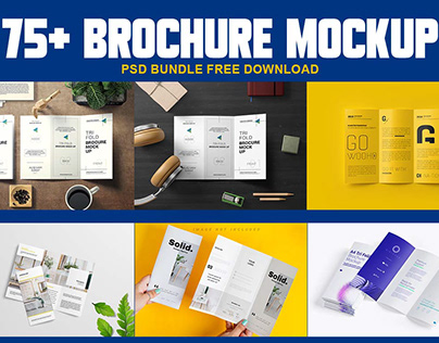 75+ Best Brochure Mockup PSD Free Download 2024