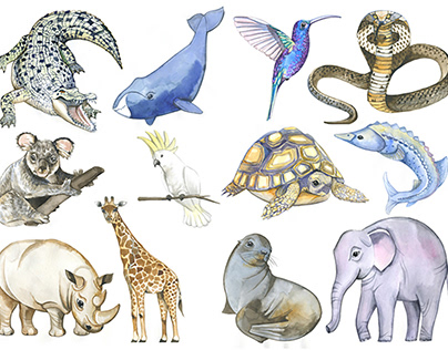 Animals watercolor images for a card game