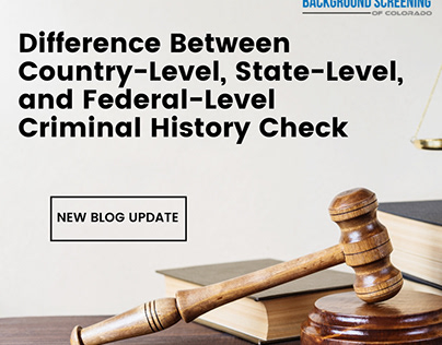 Differentiation of Criminal History Background Check