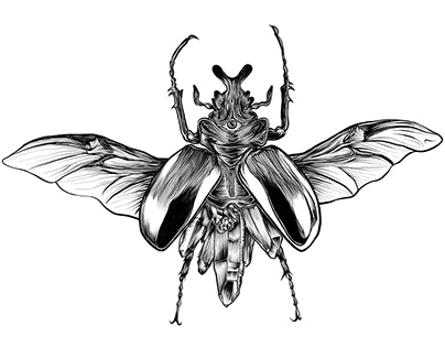 Tauaje de escarabajo / Beetle tattoo