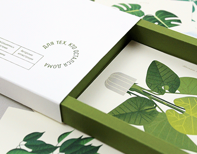 Houseplant caring tips cards