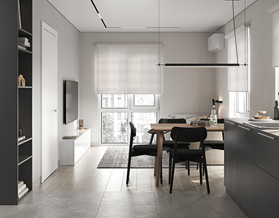 Cozy minimalistic apartment