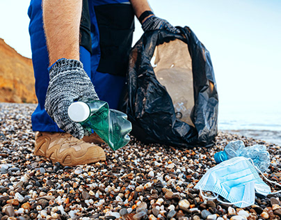 Reto Oceánico: El Dilema del Plástico y la Vida Marina