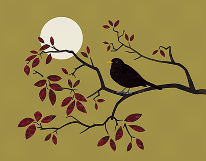 Blackbird singing