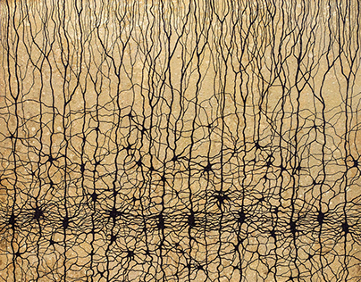 Neurons IV