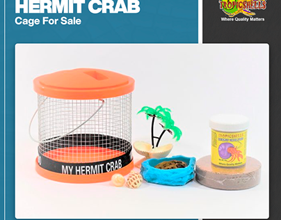 Hermit Crab Accessories for Sale