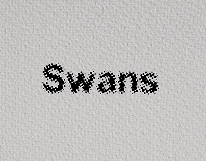 Colección Fotográfica Swans