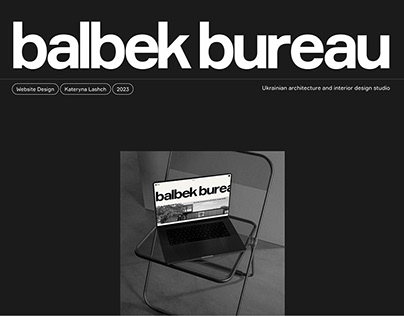 Website design concept for Balbek Bureau