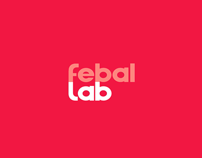 Febal Lab 2015 Concept Research