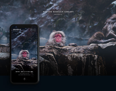 Snow Monkey Park - Website redesign concept