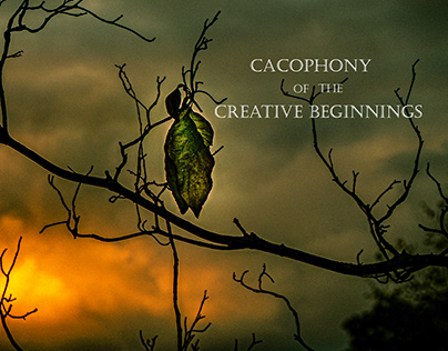 Cacophony of the Creative Beginnings