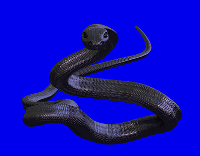 La Serpiente