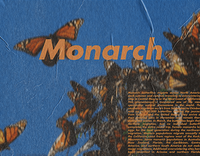 Project thumbnail - Monarch
