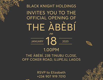 The Abebi Launch