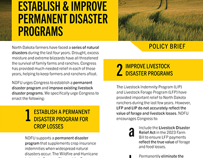 Policy Brief - Disaster Programs
