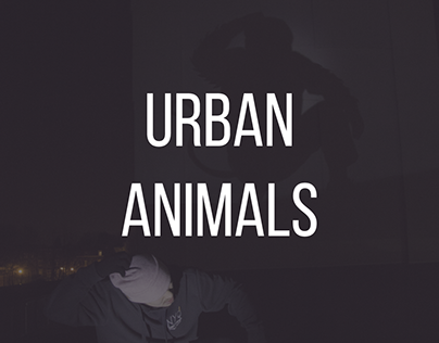 URBAN ANIMALS, Photography