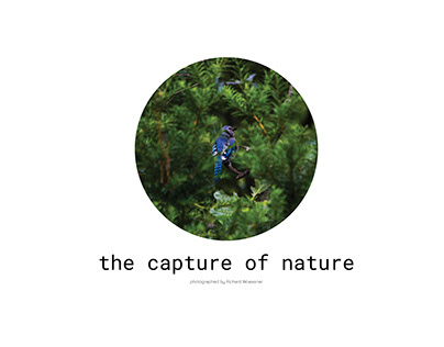 the capture of nature