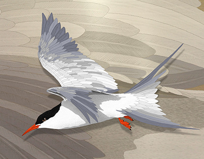 Arctic Tern on liquid brass