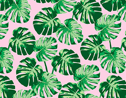 Monstera in Pink