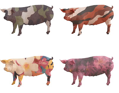 The Pig Series
