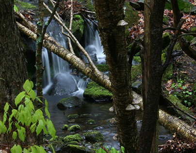 Waterfall by the Appalachian Trail