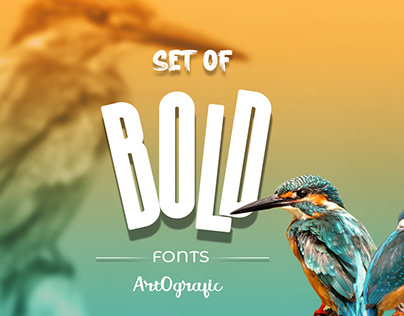 ARTOGRAFIC Instagram Carouse for bold font collections