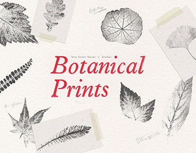 Project thumbnail - Botanical Prints