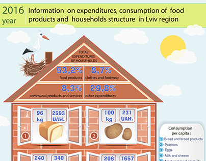Infographic. Expenditures of households.