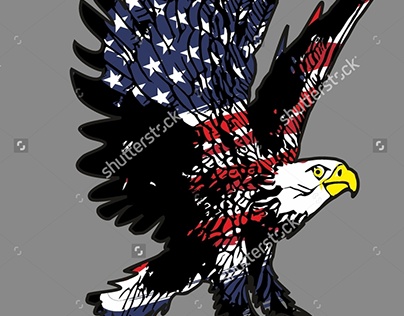American eagle graphic design vector art