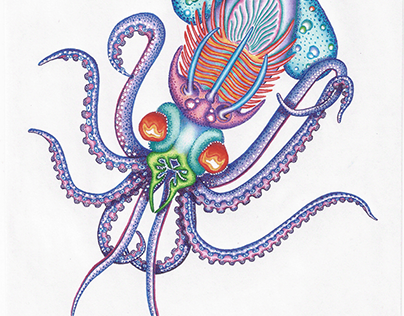 Trilobilibelu Calamaris