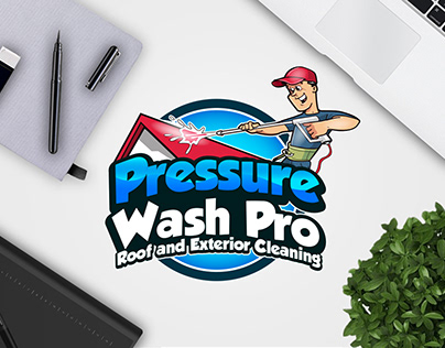 PRESSURE WASH PRO