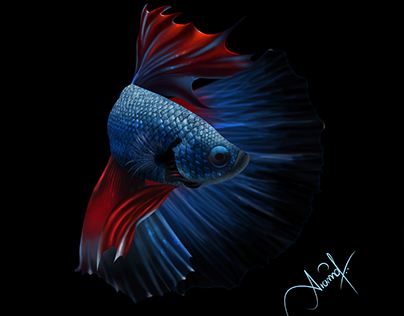 Betta fish | digital painting