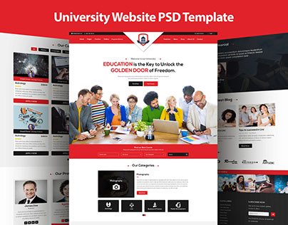 University Education Website PSD Template