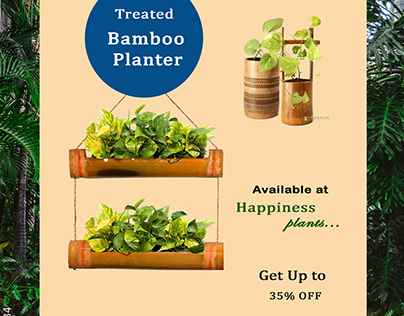 bamboo planter