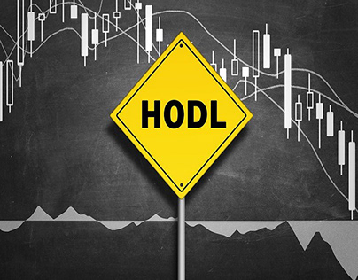 What is Hodl - instruction for newbies