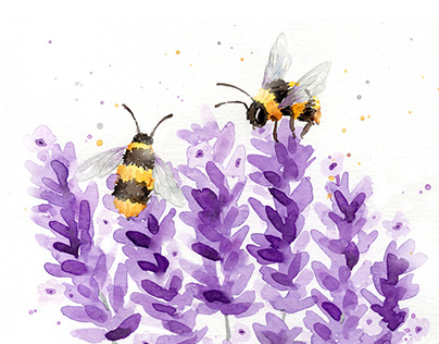 Bees and Lavender Watercolors