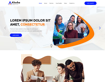 Alaska website design