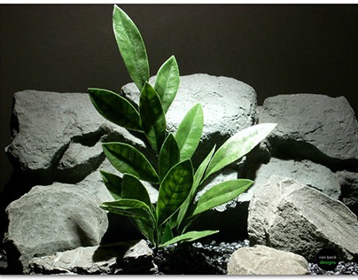 plastic aquarium plant | bay leaf