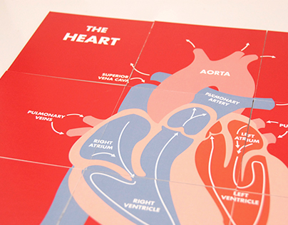 The Human Heart.