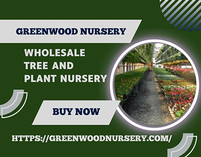 Wholesale Plant Nursery