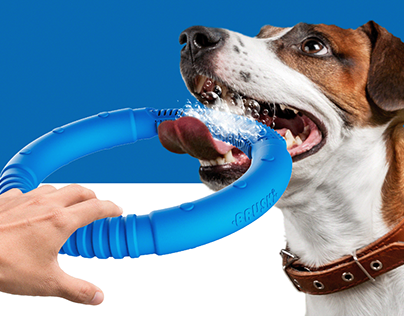 Bruski 🐶🦷 - Canine Dental Cleaner