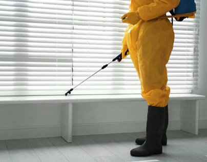 Reliable Strategies For Pest Control Tampa