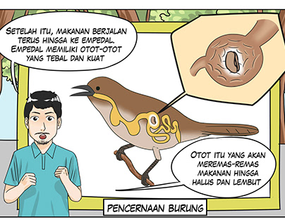 bird digestion comics