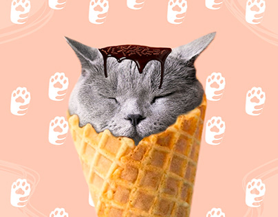 Cat I Ice cream
