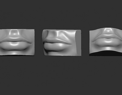 3D lip model